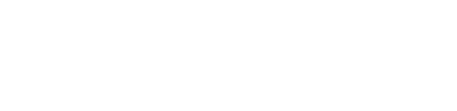 2N